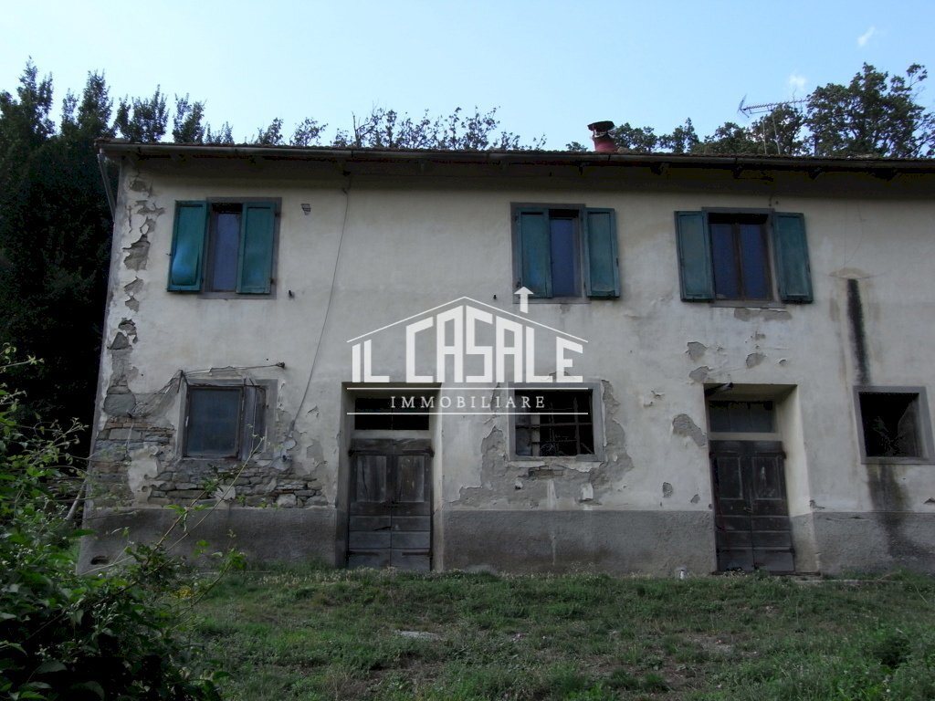 2colonicasangodenzo.JPG - Casale San Godenzo - foto 2