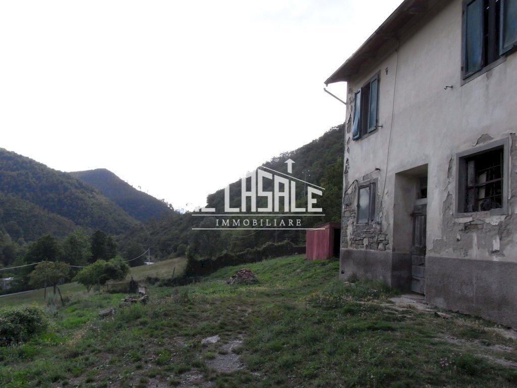 3colonicasangodenzo.JPG - Casale San Godenzo - foto 3