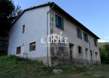 1colonicasangodenzo.JPG - Casale San Godenzo - foto 1