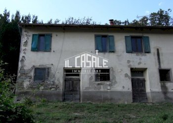 2colonicasangodenzo.JPG - Casale San Godenzo - foto 2