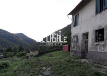 3colonicasangodenzo.JPG - Casale San Godenzo - foto 3