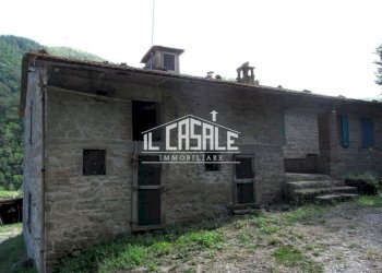 5colonicasangodenzo.JPG - Casale San Godenzo - foto 5