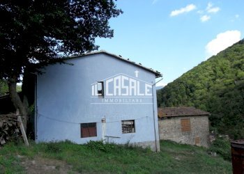 8colonicasangodenzo.JPG - Casale San Godenzo - foto 8