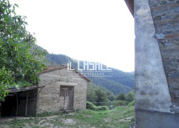 14colonicasangodenzo.JPG - Casale San Godenzo - foto 14