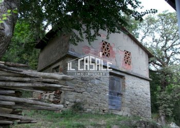 15colonicasangodenzo.JPG - Casale San Godenzo - foto 15