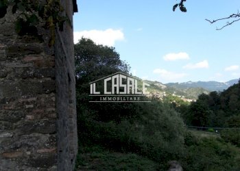 18colonicasangodenzo.JPG - Casale San Godenzo - foto 18