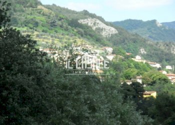 19colonicasangodenzo.JPG - Casale San Godenzo - foto 19