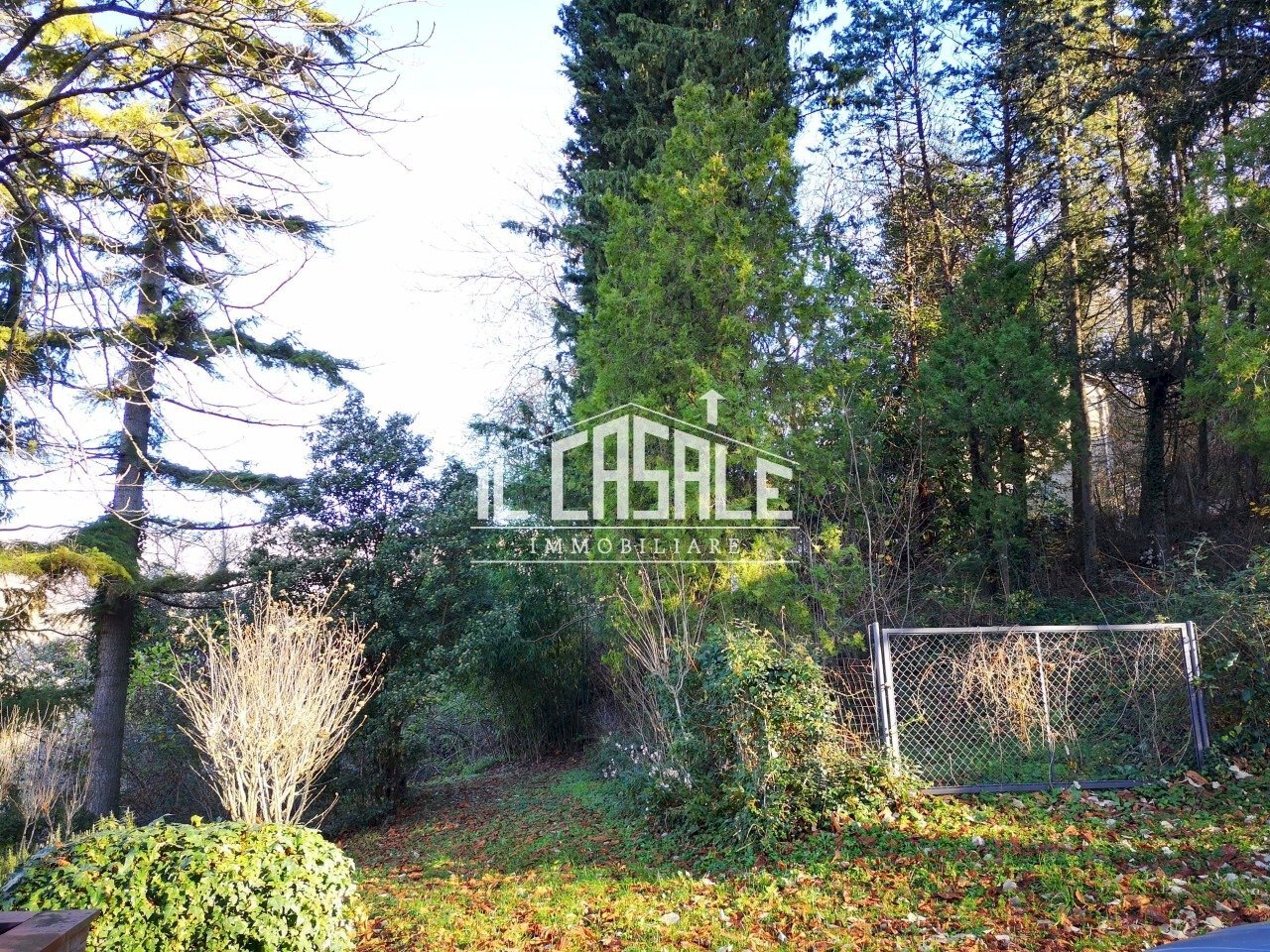 2PORZIONECORELLAGRANDE-min.jpg - Rustico Dicomano - foto 2