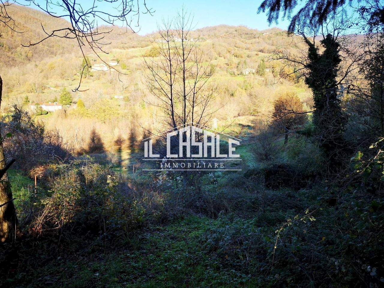 3PORZIONECORELLAGRANDE-min.jpg - Rustico Dicomano - foto 3