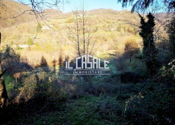 3PORZIONECORELLAGRANDE-min.jpg - Rustico Dicomano - foto 3