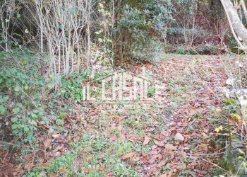 4PORZIONECORELLAGRANDE-min.jpg - Rustico Dicomano - foto 4