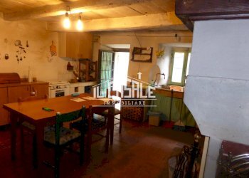 2africo.jpg - Rustico San Godenzo - foto 2