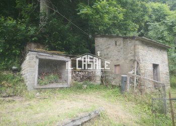 26AFFRICO.jpg - Rustico San Godenzo - foto 26