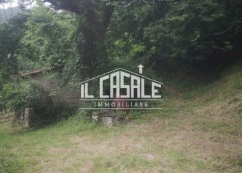 29AFFRICO.jpg - Rustico San Godenzo - foto 29