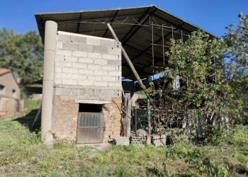 IMG_20210424_173319.jpg - Terreno agricolo Alviano - foto 4