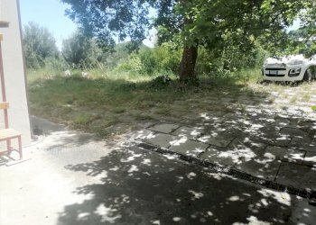 IMG_20210518_123905.jpg - Appartamento Via Cavassutti 5, Casoli - foto 4