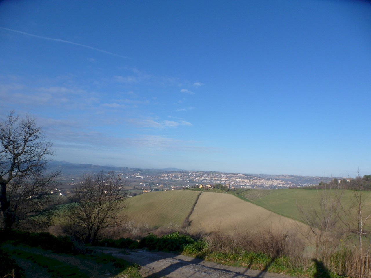 P1020215.JPG - Casa indipendente Jesi - foto 1