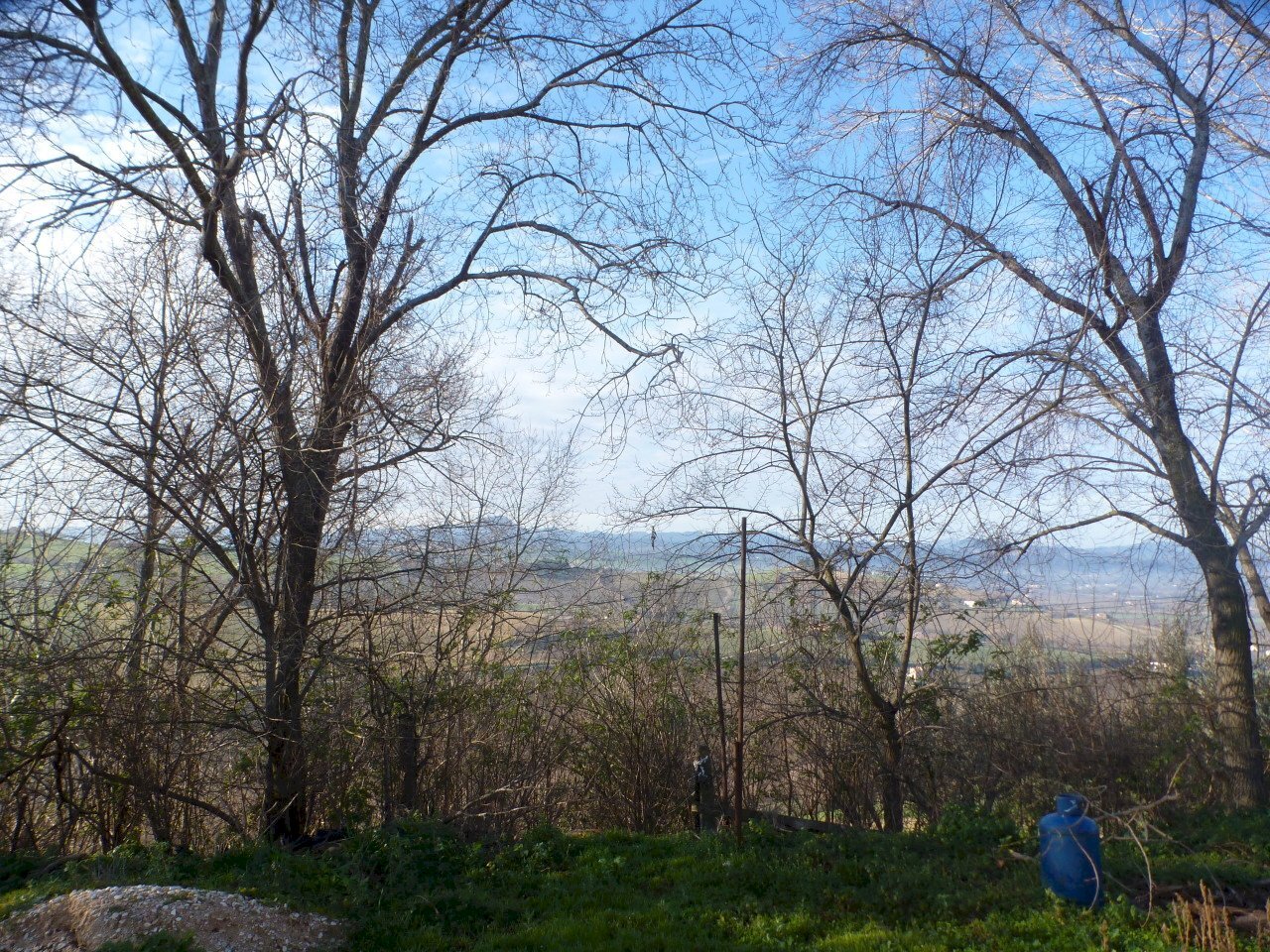 P1020223.JPG - Casa indipendente Jesi - foto 3