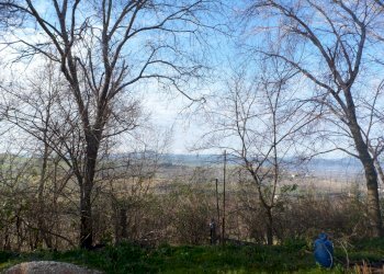 P1020223.JPG - Casa indipendente Jesi - foto 3