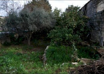 ORTO1.JPG - Rustico Modica - foto 11