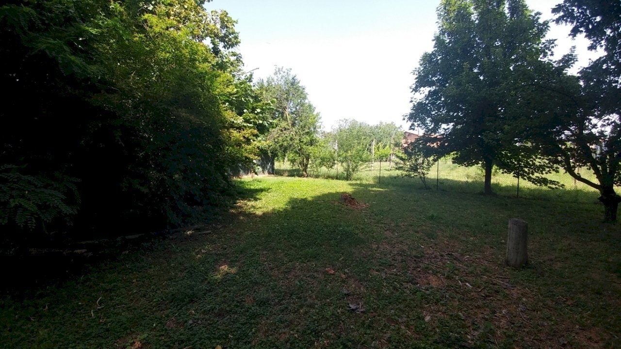 20210623_110445_HDR (FILEminimizer).jpg - Rustic via Jacopo da porto sud 232, Modena - photo 3