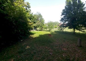 20210623_110445_HDR (FILEminimizer).jpg - Rustic via Jacopo da porto sud 232, Modena - photo 3