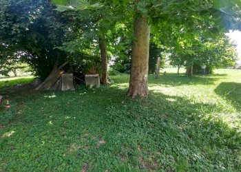 20210623_113140_HDR (FILEminimizer).jpg - Rustic via Jacopo da porto sud 232, Modena - photo 11