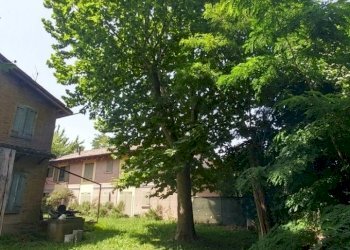 20210623_113229_HDR (FILEminimizer).jpg - Rustic via Jacopo da porto sud 232, Modena - photo 12