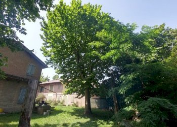 20210623_113233_HDR (FILEminimizer).jpg - Rustic via Jacopo da porto sud 232, Modena - photo 13