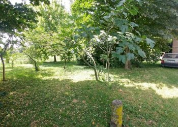 20210623_113346_HDR (FILEminimizer).jpg - Rustic via Jacopo da porto sud 232, Modena - photo 16