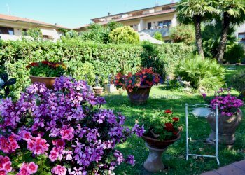 giardino - Casa indipendente Via del Pino 12, Livorno - foto 1