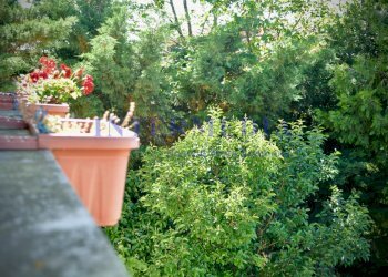vista dal balcone - Casa indipendente Via del Pino 12, Livorno - foto 8