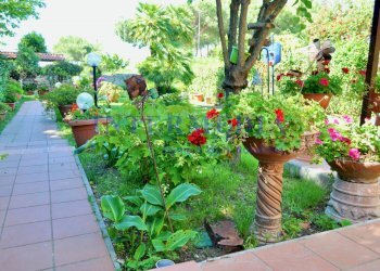 ingresso dal giardino - Casa indipendente Via del Pino 12, Livorno - foto 15