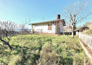 IMG_3765.jpeg - Rustic Sarzana - photo 3