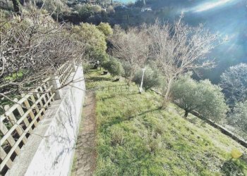 IMG_3789.jpeg - Rustic Sarzana - photo 7