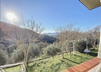 IMG_3792.jpeg - Rustic Sarzana - photo 13