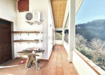 IMG_3759.jpeg - Rustic Sarzana - photo 21