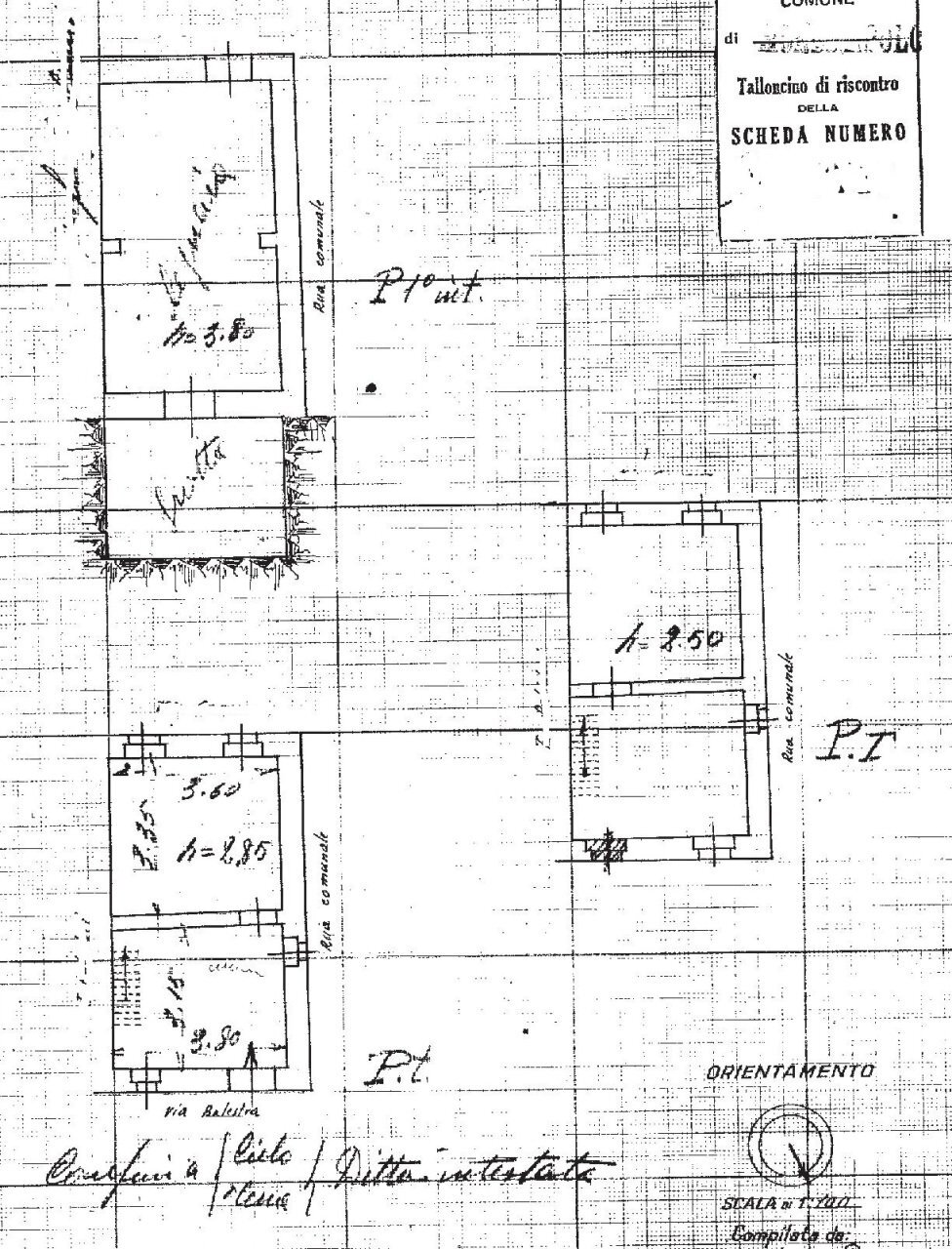 planimetria.jpg - Terratetto - Terracielo Monsampolo del Tronto - planimetria 1