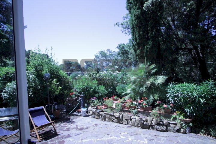 IMG_6212.JPG - Terratetto - Terracielo Via Kaiser Parodi, Livorno - foto 3