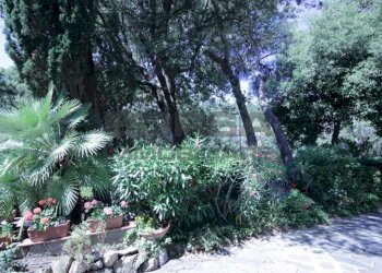 IMG_6213.JPG - Terratetto - Terracielo Via Kaiser Parodi, Livorno - foto 4