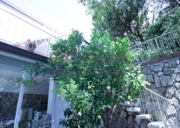 IMG_6215.JPG - Terratetto - Terracielo Via Kaiser Parodi, Livorno - foto 5