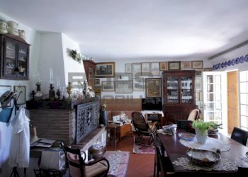 IMG_6217.JPG - Terratetto - Terracielo Via Kaiser Parodi, Livorno - foto 7