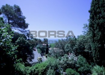 IMG_6227.JPG - Terratetto - Terracielo Via Kaiser Parodi, Livorno - foto 17