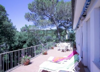 IMG_6228.JPG - Terratetto - Terracielo Via Kaiser Parodi, Livorno - foto 18