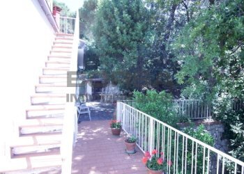 IMG_6229.JPG - Terratetto - Terracielo Via Kaiser Parodi, Livorno - foto 19