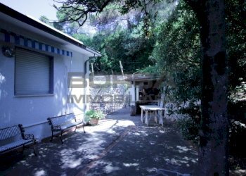 IMG_6230.JPG - Terratetto - Terracielo Via Kaiser Parodi, Livorno - foto 20