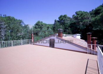 IMG_6235.JPG - Terratetto - Terracielo Via Kaiser Parodi, Livorno - foto 25