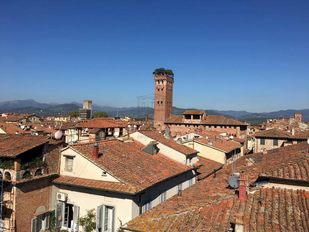 Foto 20-10-17, 12 19 11.jpg - Apartment Corte Pini, Lucca - photo 2