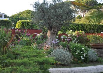 Giardino.JPG - Independent house Via Terracina 144, San Felice Circeo - photo 13