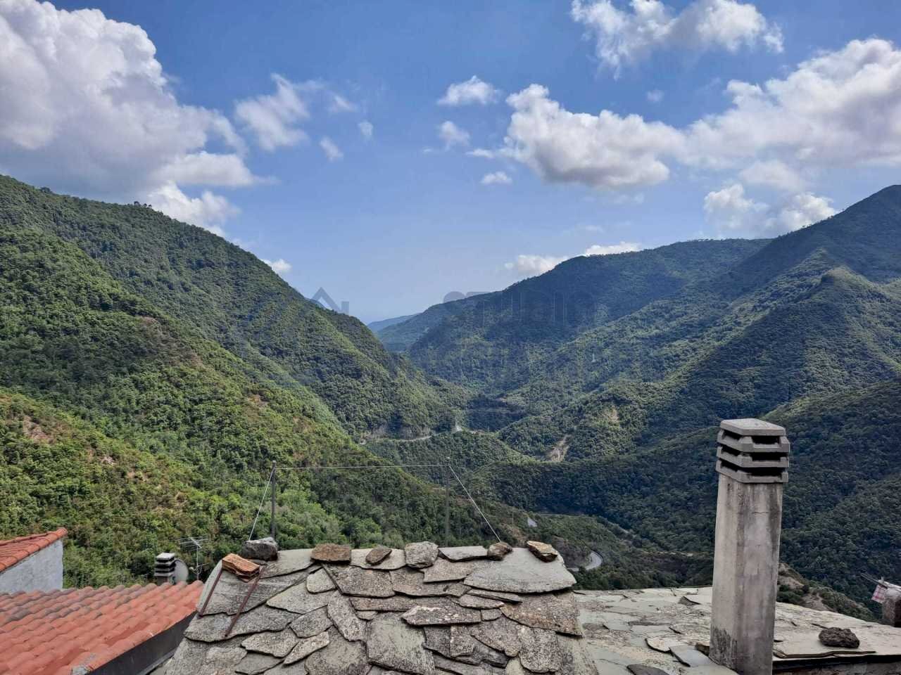 WhatsApp Image 2021-07-10 at 16.50.00.jpeg - Terratetto - Terracielo Piazza Roma, Molini di Triora - foto 1